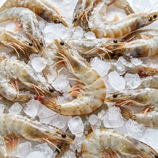 seafood