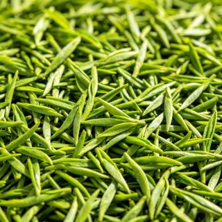 Tea Leaves