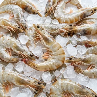seafood